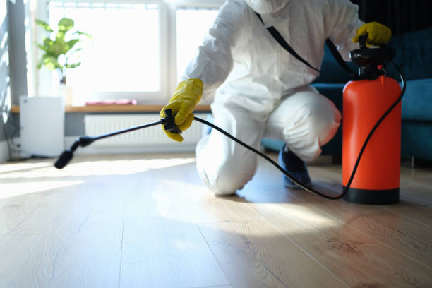 Reliable Odor Removal contractor in Luning, NV by Trauma Clean Pros